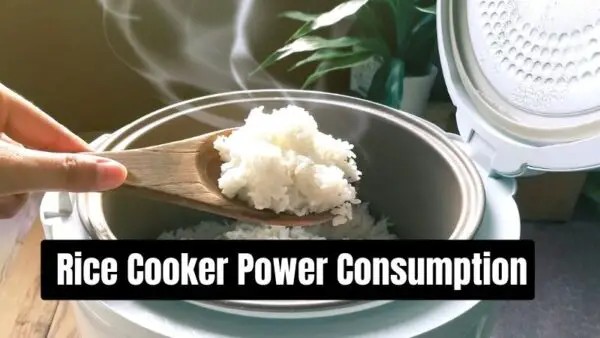rice cooker power consumption